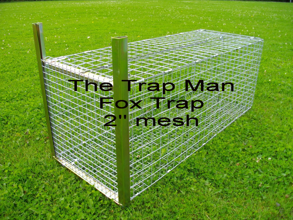 These large mesh FOX traps will be sent folded and require simple assembly, instructions supplied. (we also have a fox trap assembly video on request)