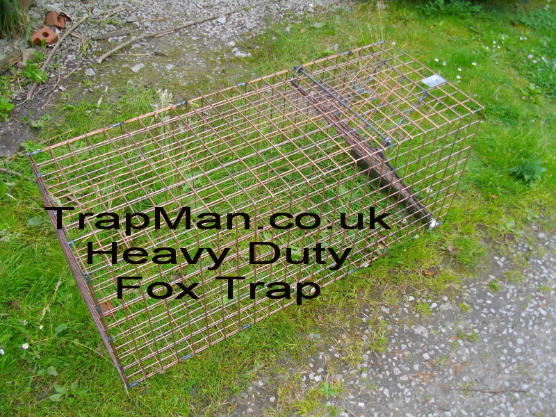 Heavy Duty Built up fox trap cage